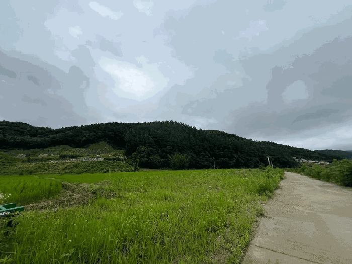 토지 일련번호(1) 전경-1