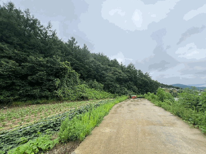 토지 일련번호(1) 전경-2