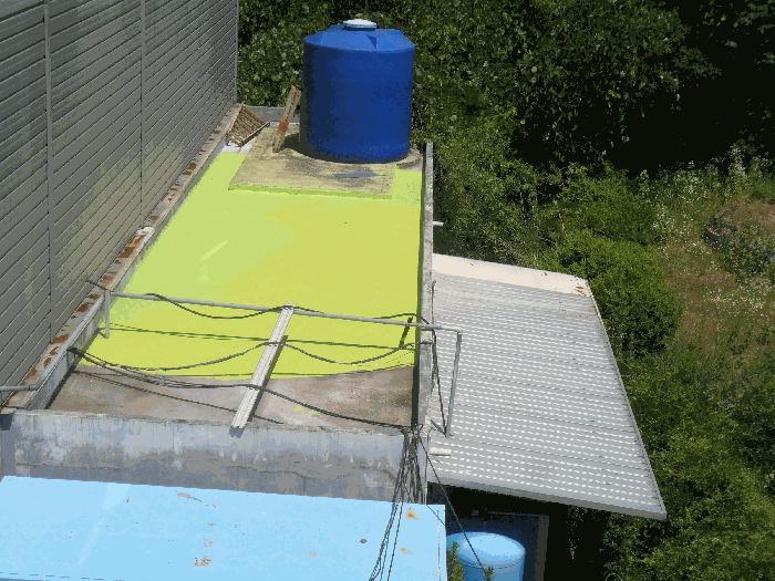 본건전경 기호2-1