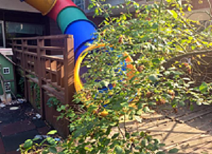 본건 제시외 (ㄴ)목조 데크 전경