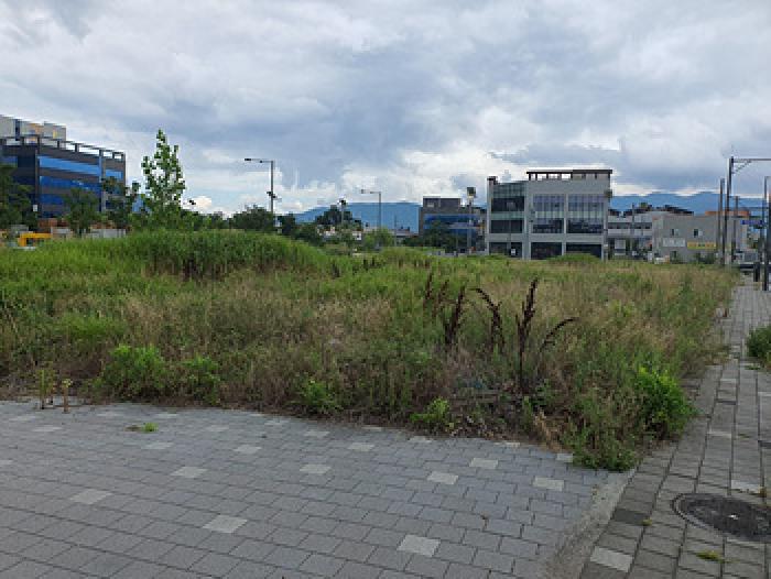 본건 전경