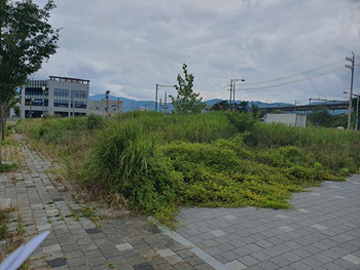 본건 전경