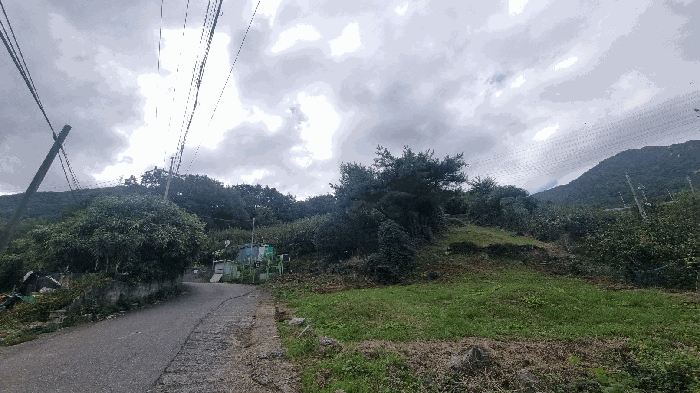 전경