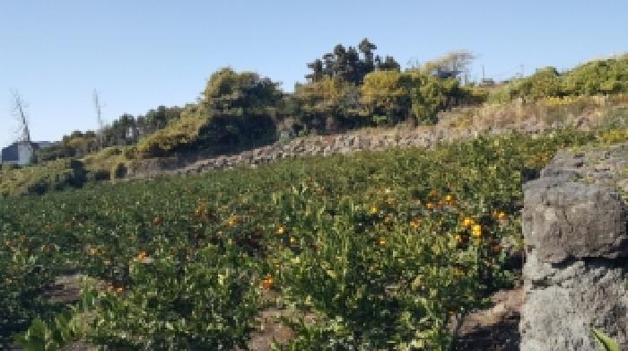 소재지1(토평동 836) 전경2