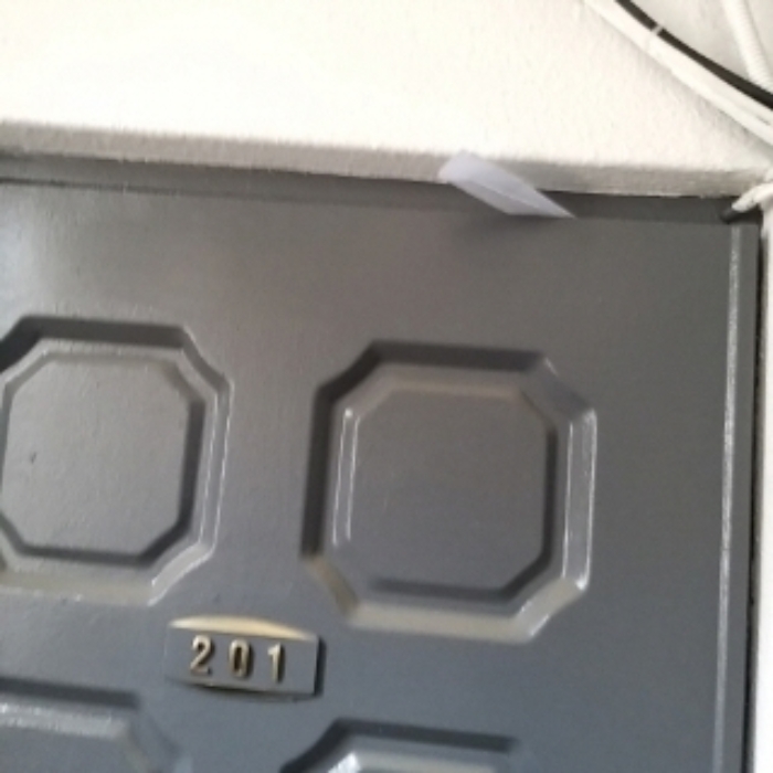 세대 출입문(201호)