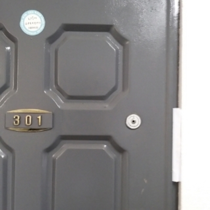 세대 출입문(301호)