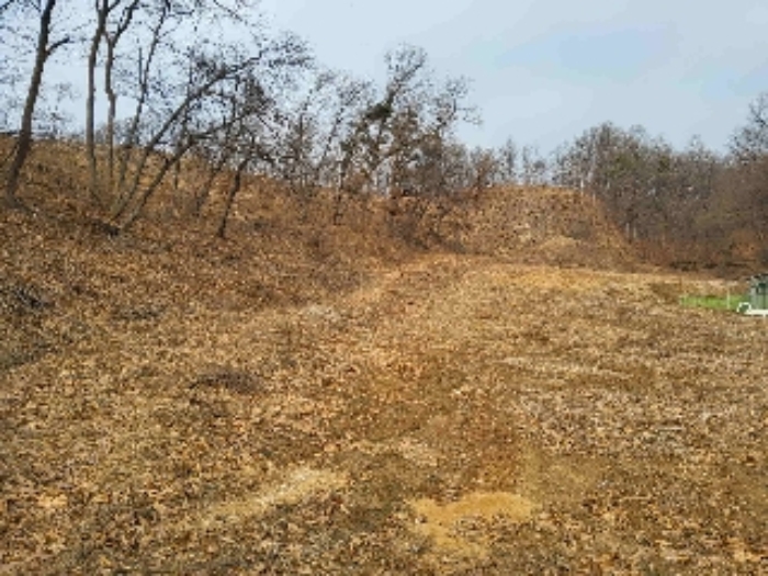 현황부동산 3 목장용지