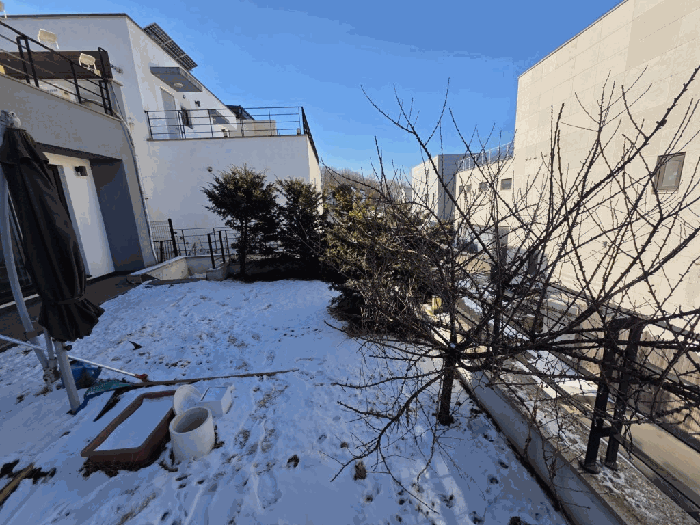 제시외수목 전경