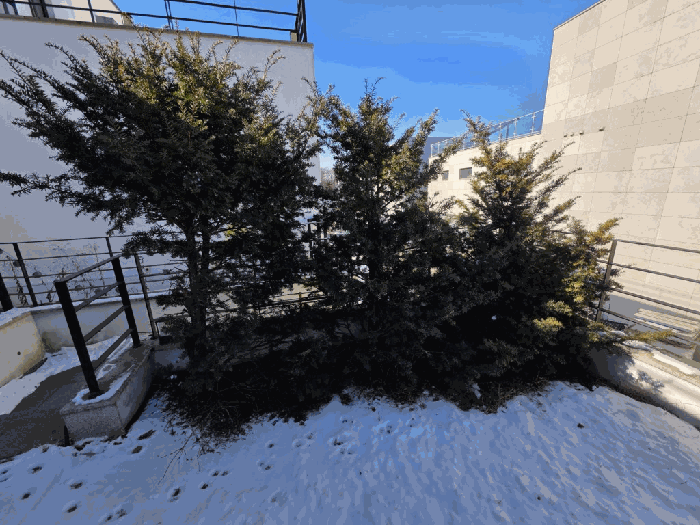 제시외수목 전경