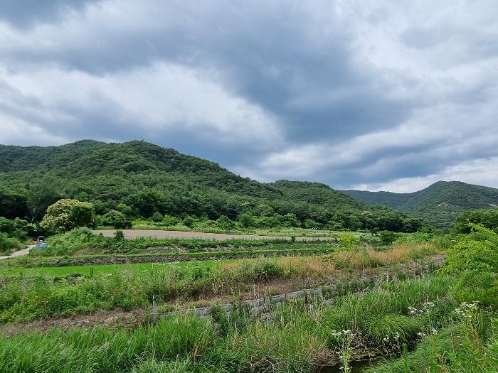 기호 1 : 남