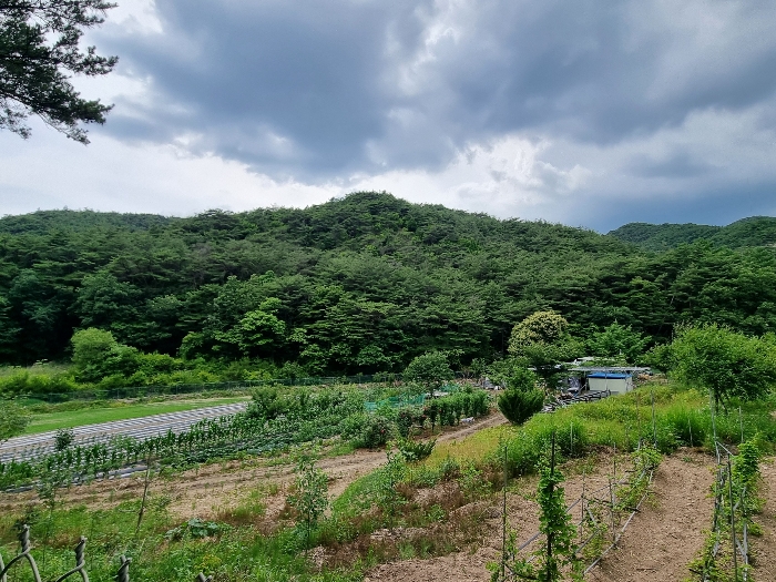 기호 2 : 동