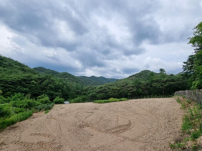 기호 5 : 남