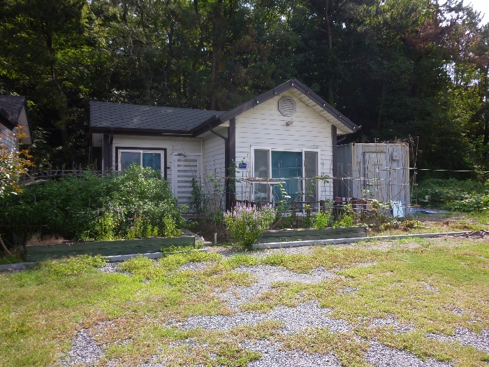 기호(6), 컨테이너 전경