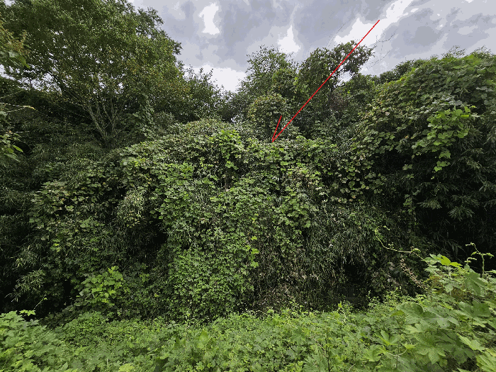 일련번호6 북-->남’><br /><img src=