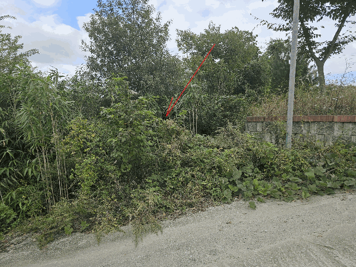 일련번호6 동-->서’><br /><img src=