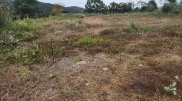 부동산의 표시 3.