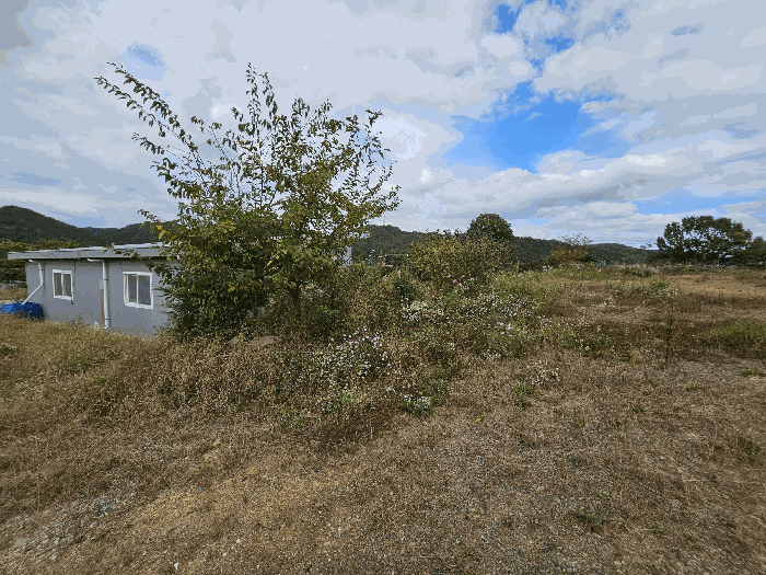 일련번호3지상 수목