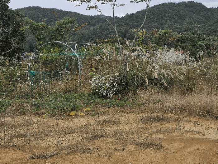 일련번호3지상 이동가능한 지상물-비닐하우스(파이프구조물)