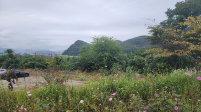 부동산의 표시 6.