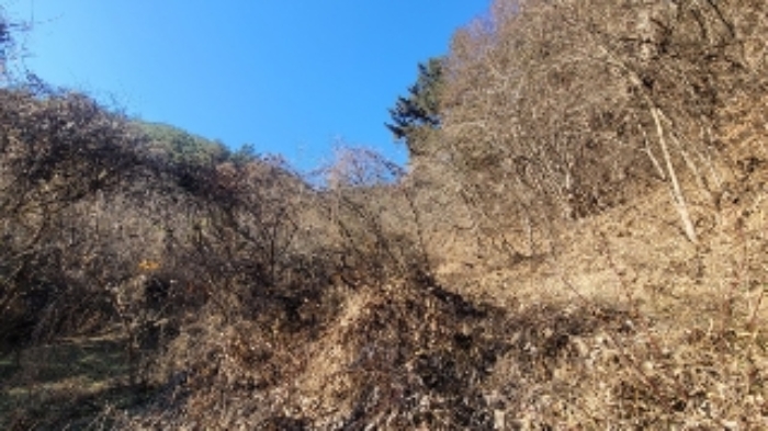 본건1 및 주변