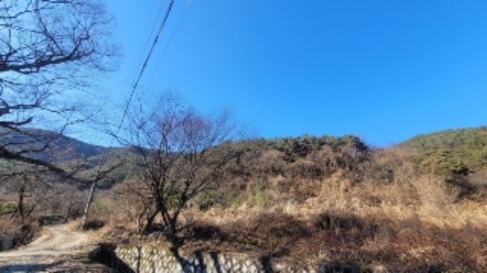 본건3 및 주변