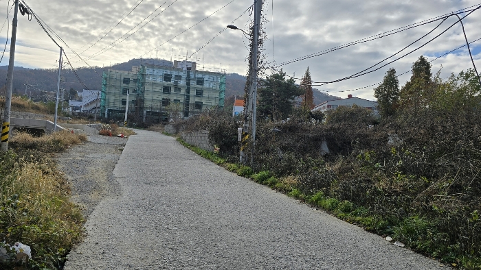 기호(8) 도로