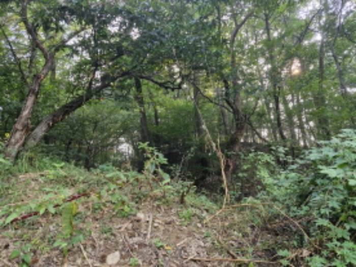 목록13. 군자동 산22-33