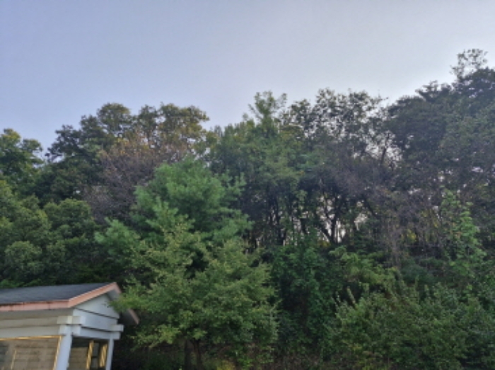 목록13. 군자동 산22-33
