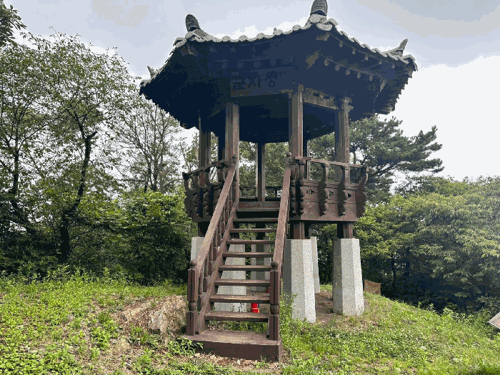 기호10임야 정상에 소재하는 정자-평가제외
