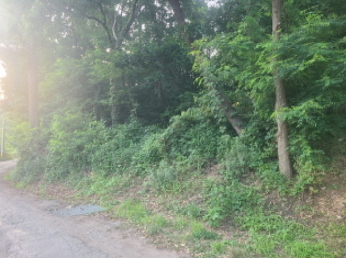 목록 15.(군자동 산22-35)
