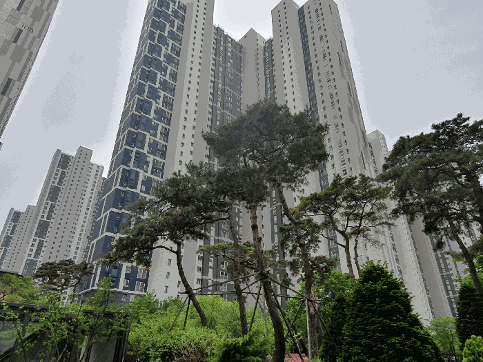 본건 전경 - 북측 촬영