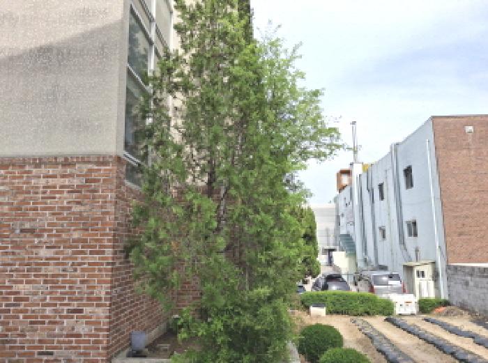 건물 뒷쪽 모습