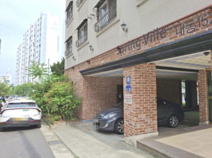 제시외 수목 모습