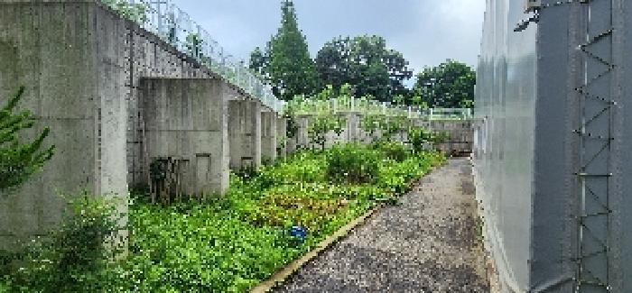 제시외 천막구조물 측면