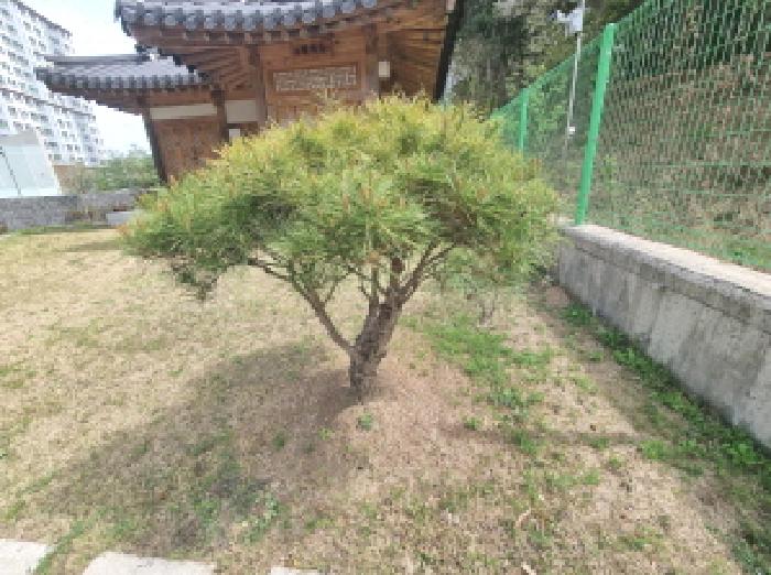 목록1 제시외