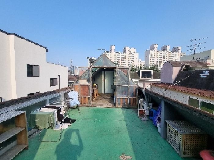옥상 전경