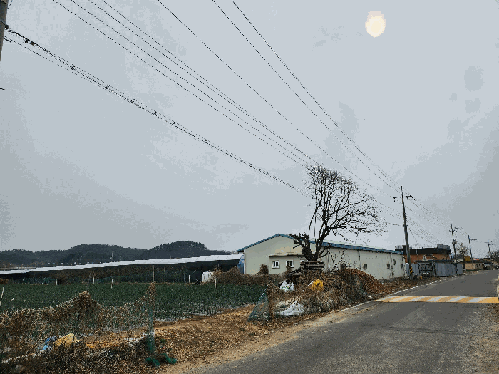 본건 전경(북동