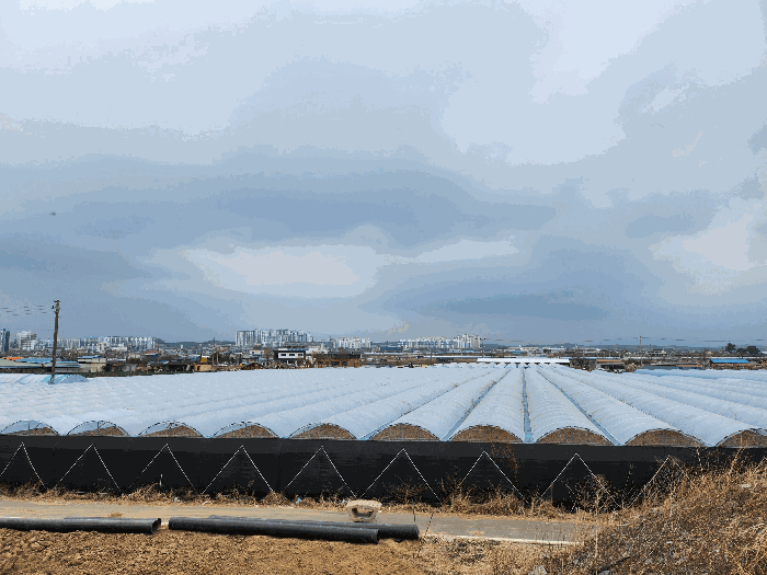 본건 전경(남측