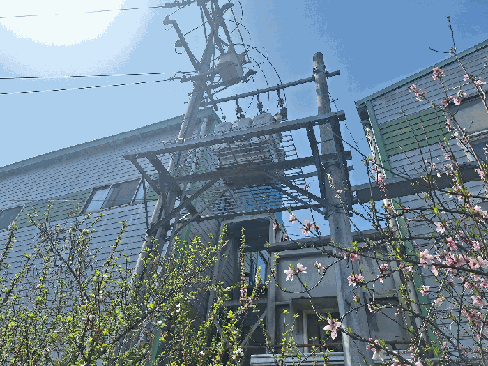 제시외물건(ㄷ)