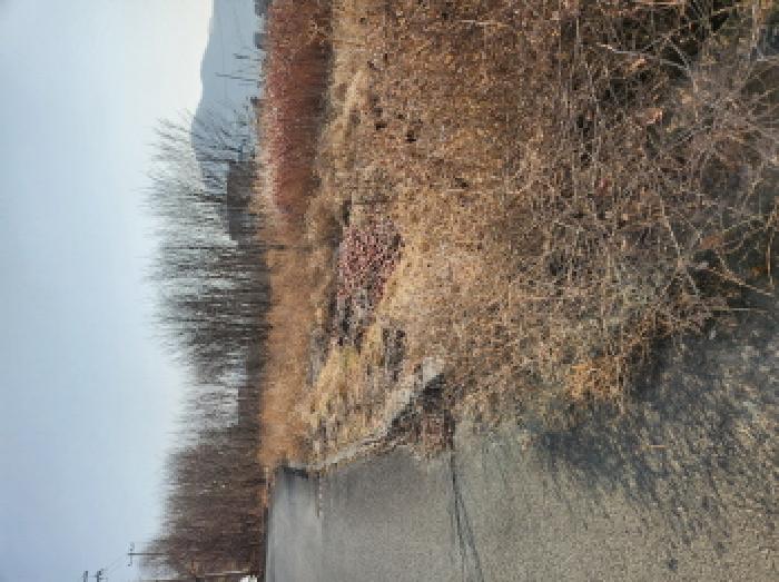 고경면 상덕리 286-1