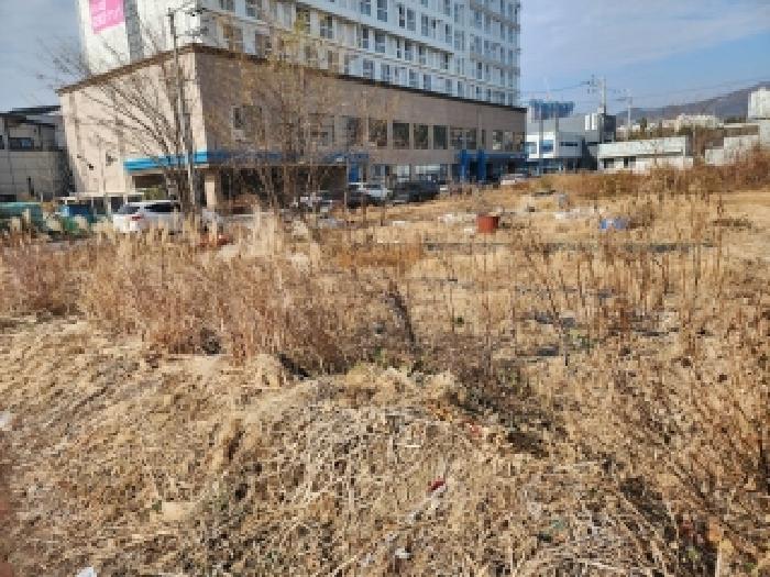 물건1 전경
