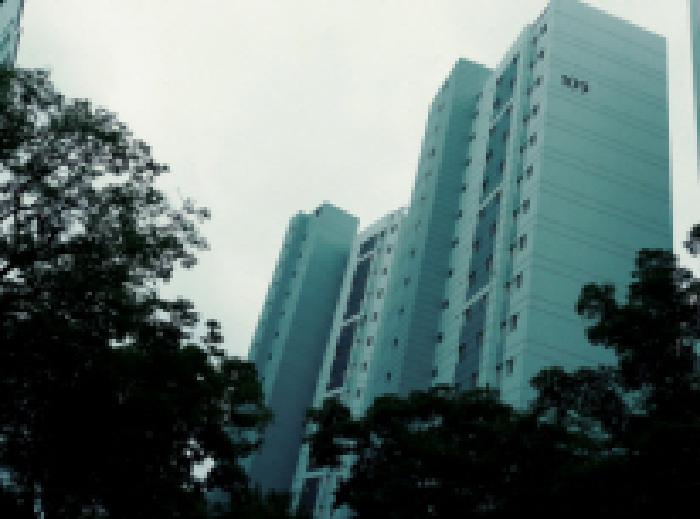 * 본건 1동 건물 전경