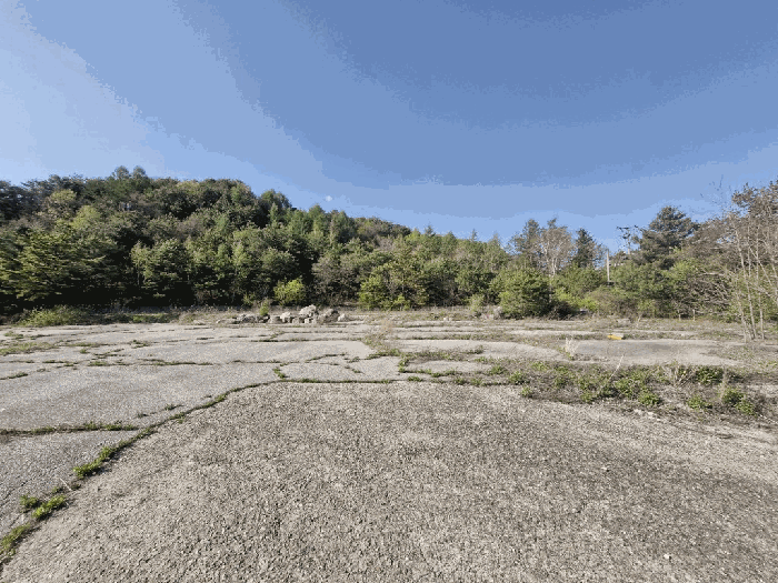 기호(3) 전경
