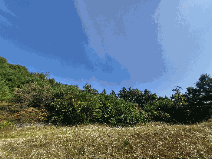 기호(5) 전경