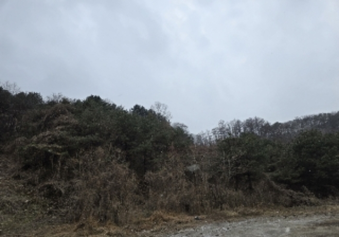 목적물 9번