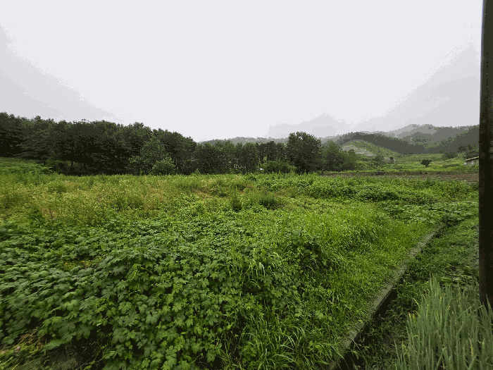 본건 전경(북서측에서 촬영)