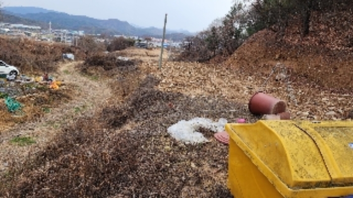 본건 전경