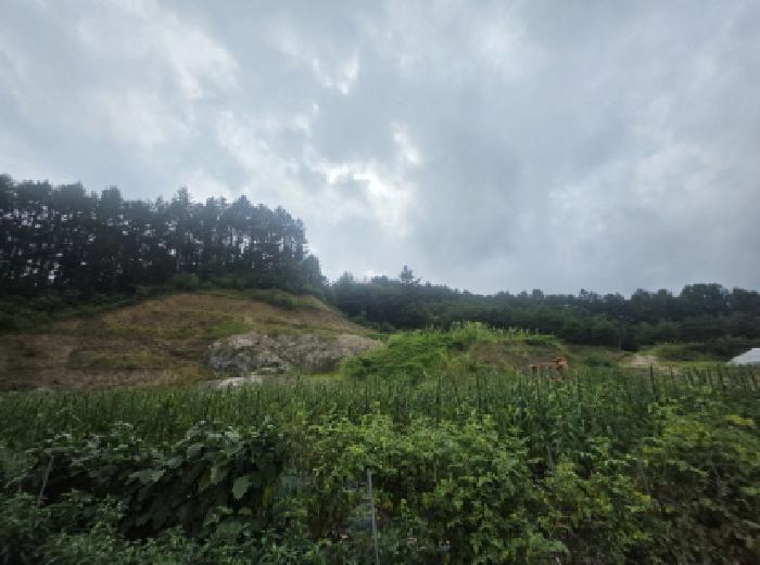 본건 전경 