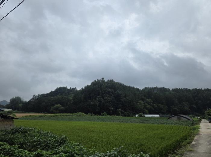 본건 전경 및 일부 전으로 이용중임