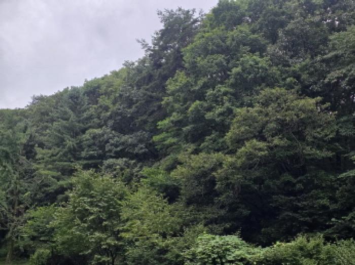 본건 20 전경
